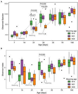 Weaning Time Affects the Archaeal Community Structure and Functional Potential in Pigs